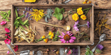 dried flowers in wood tray