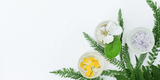 clean white floral image