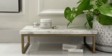 product on a bathroom counter with plant